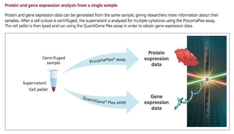 Luminex protein and gene expression analysis from a single sample